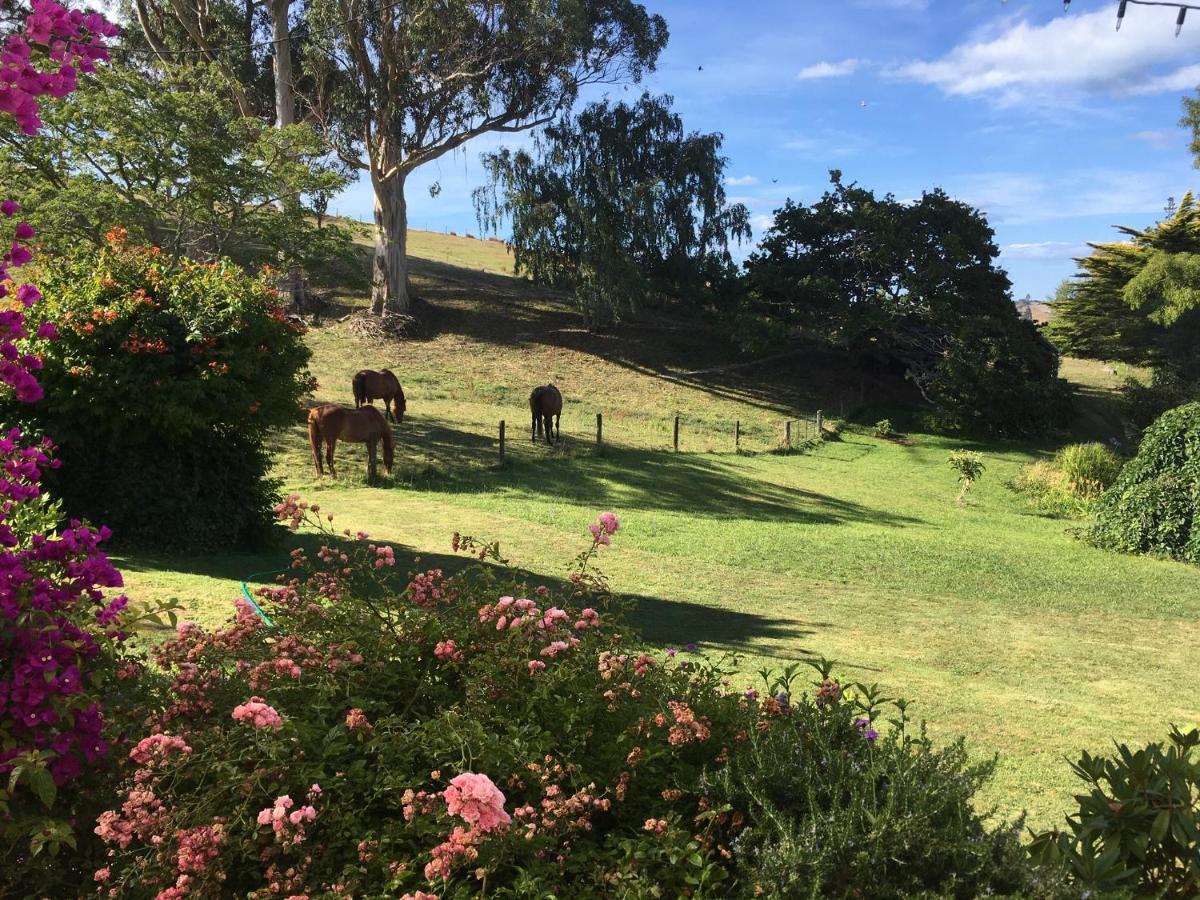 Tasman Farmstay Retreat Glenmhor Екстер'єр фото