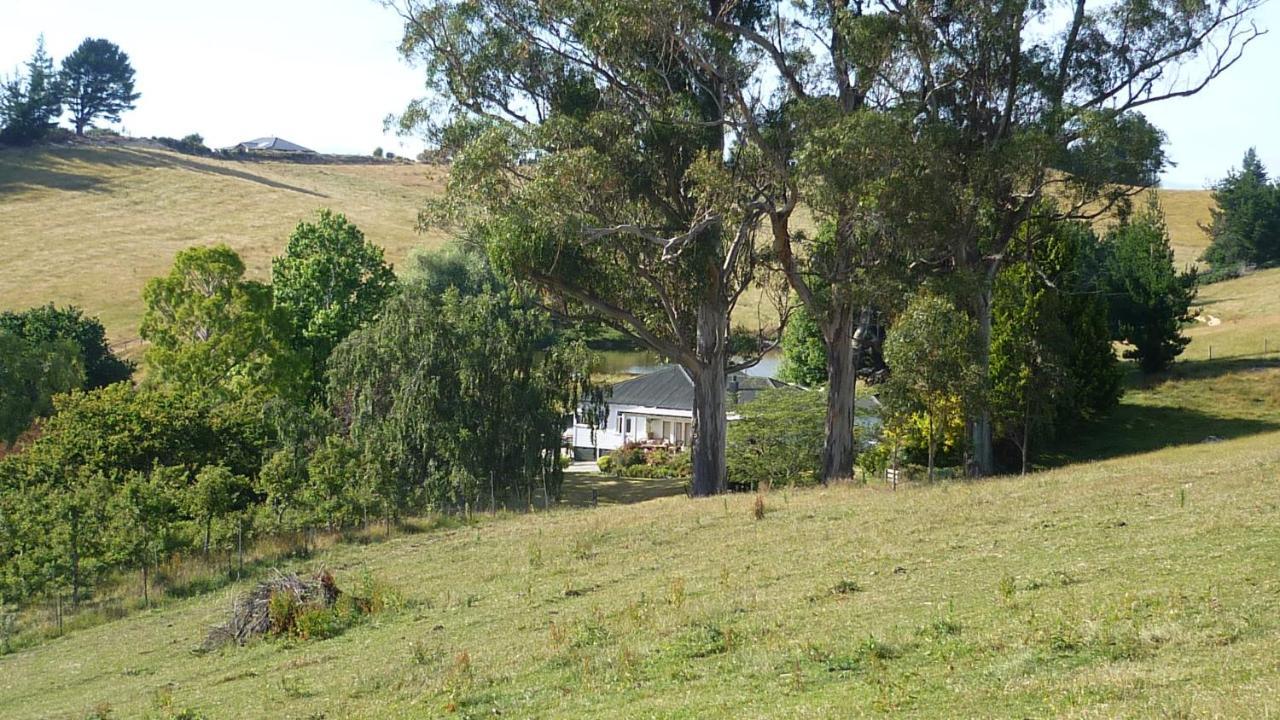Tasman Farmstay Retreat Glenmhor Екстер'єр фото