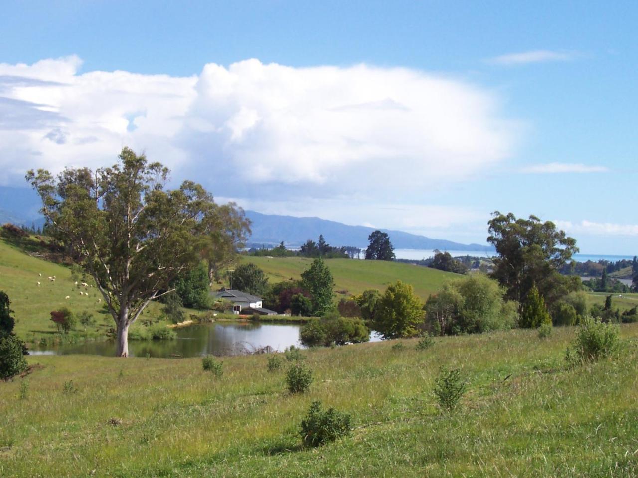Tasman Farmstay Retreat Glenmhor Екстер'єр фото