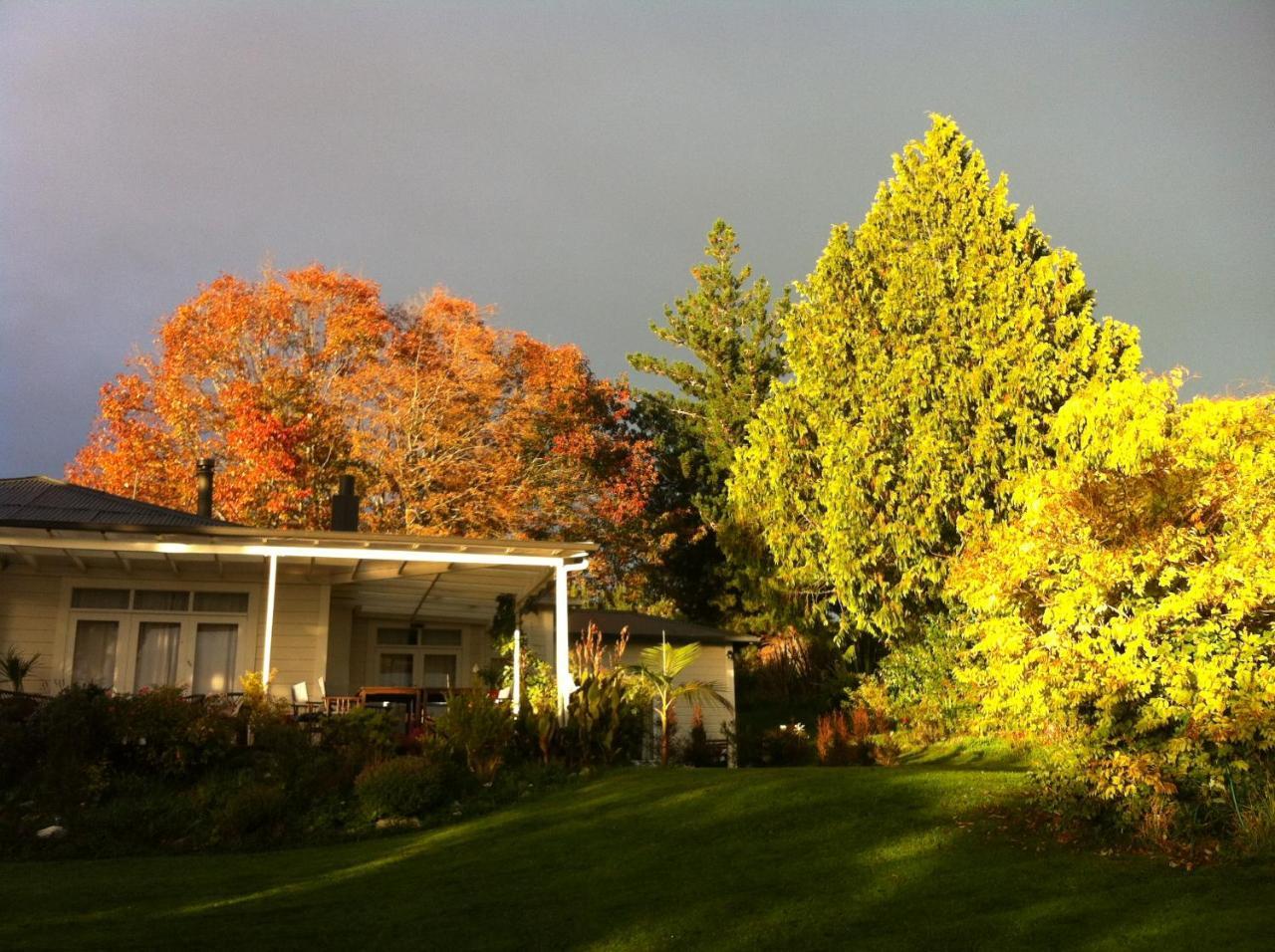 Tasman Farmstay Retreat Glenmhor Екстер'єр фото