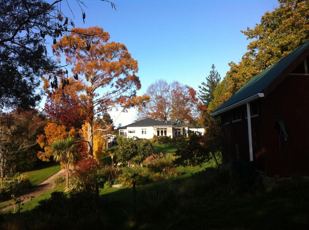 Tasman Farmstay Retreat Glenmhor Екстер'єр фото